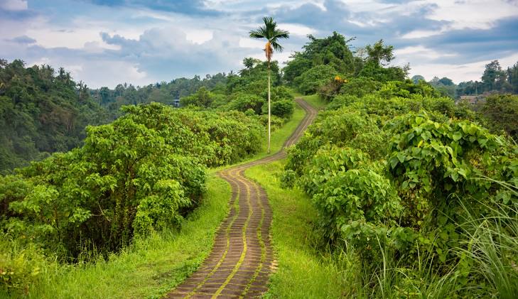 Trip To Ubud