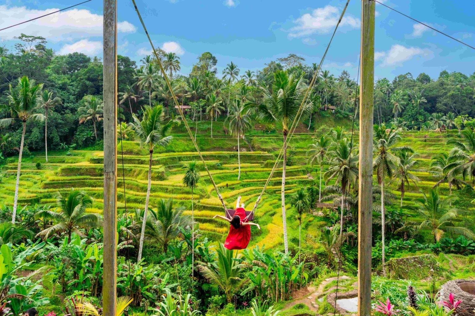 Great Activities in Ubud