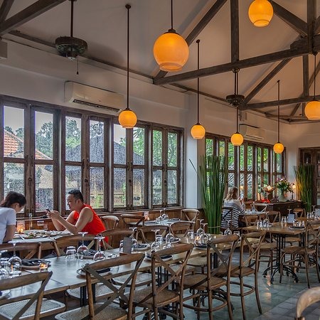 Top Restaurants to Try in Ubud