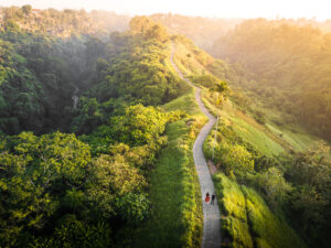 1 Day Ubud Itinerary