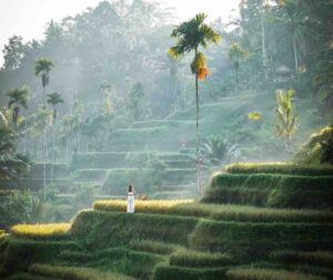 Ubud with Kids