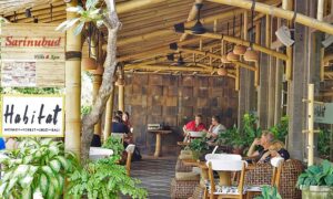 Cafes in Ubud