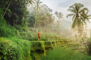 Ubud Landmarks