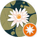 Diamond Path profile picture